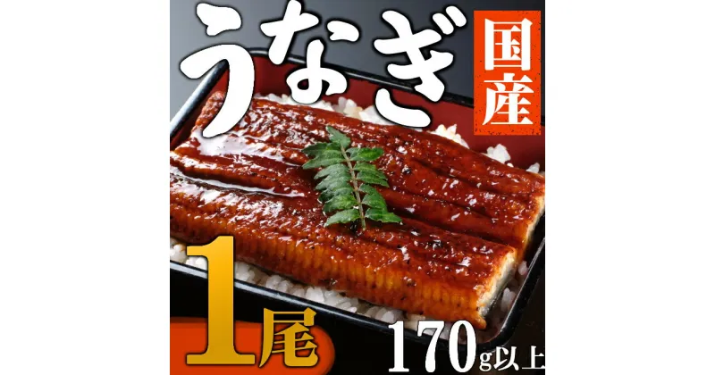 【ふるさと納税】【数量限定】海土のうなぎの蒲焼き　1尾 ウナギ 鰻 惣菜 冷凍 おかず 10000円 1万円 魚介 訳あり 送料無料 kd037