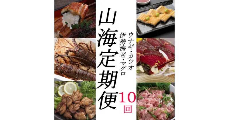 【ふるさと納税】徳さんオススメ山海（10回定期便） ウナギ 鰻 かば焼き 白焼き 加工品 魚 魚介類 惣菜 冷凍 カツオ 鰹 かつお 伊勢海老 ネギトロ まぐろ たたき 唐揚げ 惣菜 定期便 10回 送料無料 yj039