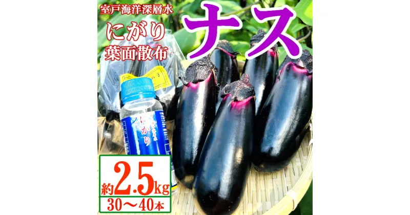 【ふるさと納税】【最短7日以内発送！】農家直送　土佐の美味茄子の新鮮ナス　2．5kg　（室戸海洋深層水にがり使用） 野菜 なす ナス 常温 小袋 国産 夏野菜 茄子 小分け 旬 6000円 高知 bn002