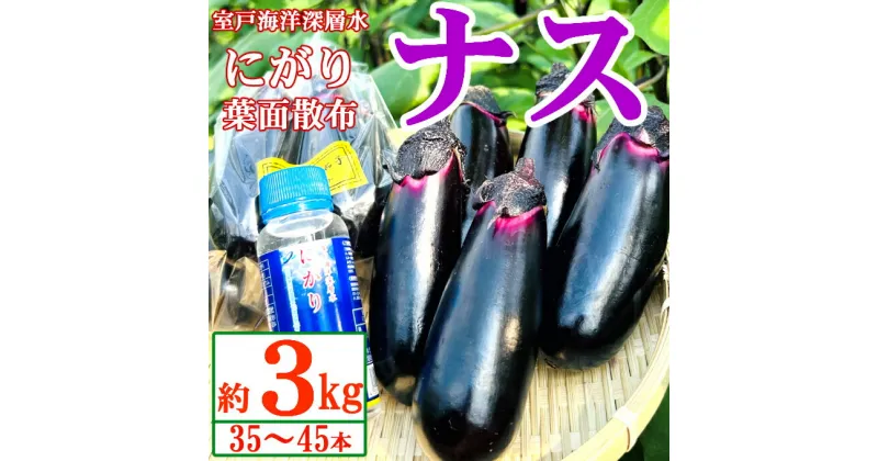 【ふるさと納税】【最短7日以内発送！】農家直送　土佐の美味茄子の新鮮ナス　3kg　（室戸海洋深層水にがり使用） 野菜 なす ナス 常温 小袋 国産 夏野菜 茄子 小分け 旬 7000円 高知 bn003