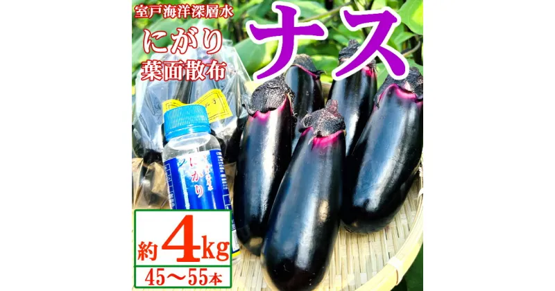 【ふるさと納税】【最短7日以内発送！】農家直送　土佐の美味茄子の新鮮ナス　4kg　（室戸海洋深層水にがり使用） 野菜 なす ナス 常温 小袋 国産 夏野菜 茄子 小分け 旬 9000円 高知 bn005