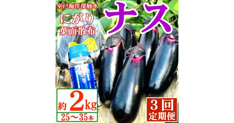 【ふるさと納税】【定期便3回発送】農家直送　土佐の美味茄子の新鮮ナス　2kg　（室戸海洋深層水にがり使用） 野菜 なす ナス 常温 小袋 国産 夏野菜 茄子 小分け 旬 15000円 高知 bn007