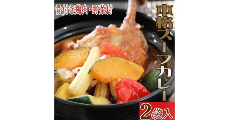 【ふるさと納税】お家でスープカレー　ちと辛いぞね　2袋　惣菜 冷凍 おかず お手軽 鶏肉 とり 加工食品 5000円 送料無料 kd045