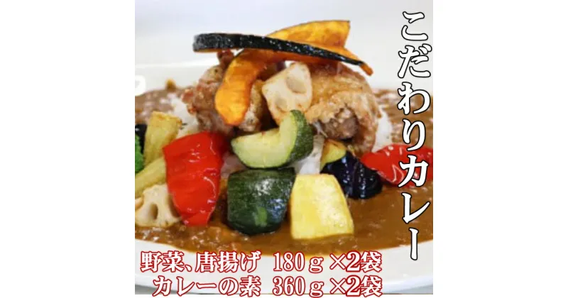 【ふるさと納税】海土こだわり大人のカレー　2袋　惣菜 冷凍 おかず お手軽 鶏肉 とり 加工食品 5000円 送料無料 kd046