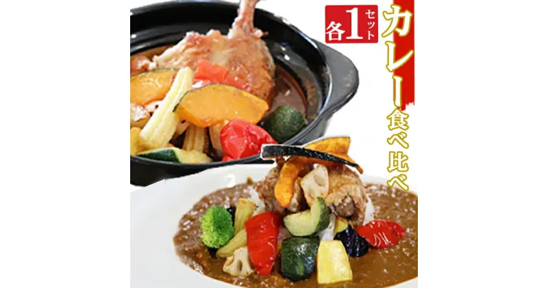 【ふるさと納税】海土の食べ比べ　カレー編　スープカレーと大人のカレー　各1袋　惣菜 冷凍 おかず お手軽 加工食品 5000円 送料無料 kd049