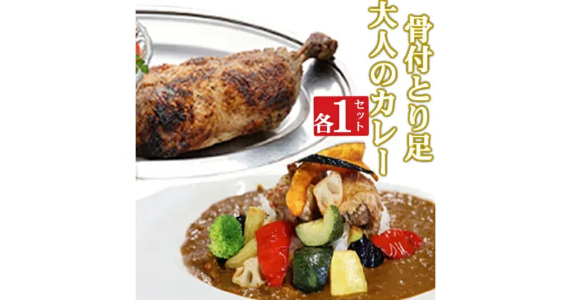 【ふるさと納税】海土がお届けする　大人のカレーと骨付とり足　各1袋　惣菜 冷凍 おかず お手軽 加工食品 5000円 鶏肉 とり肉 送料無料 kd050