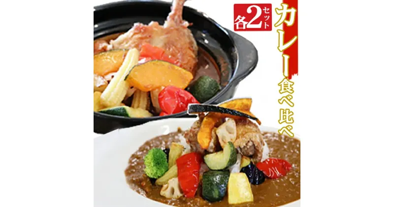 【ふるさと納税】海土の食べ比べ　カレー編　スープカレーと大人のカレー　各2袋　惣菜 冷凍 おかず お手軽 加工食品 10000円 送料無料 kd052