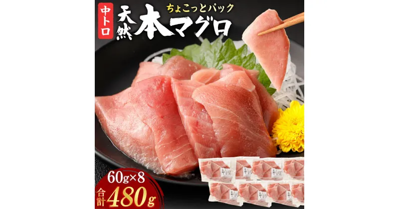 【ふるさと納税】 天然本まぐろ 【お刺身ちょこっとパック】 中トロ 切落し 480g 60g×8パック お手軽 食べきりサイズ 切り落とし お刺身 魚介類 海鮮 小分け 魚 天然まぐろ 魚貝 マグロ 高知県 簡単解凍 簡単調理 惣菜 コロナ支援 冷凍