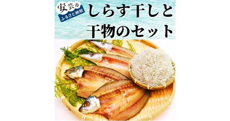 【ふるさと納税】33-04:田渕水産のしらす干し、干物セット　高知県安芸市　田渕水産　老舗の味　新鮮しらす　青アジの開き　カマスの開き　ちりめん　釜揚げ　シラス・干物セット　お歳暮　ギフト