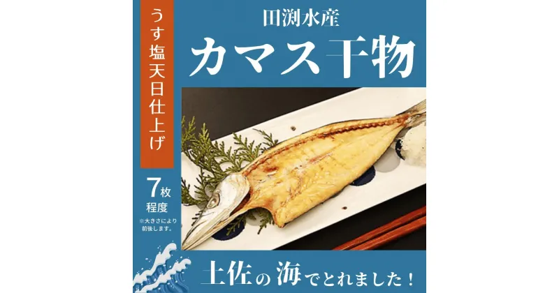 【ふるさと納税】カマスのひらき｜田渕水産の干物　高知県安芸市　田渕水産　カマス　干し物　水産加工品　うす塩天日　お歳暮　ギフト