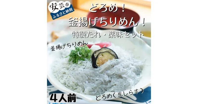 【ふるさと納税】18-(5)．どろめ！釜あげちりめん！特製たれ・薬味セット（4人前）