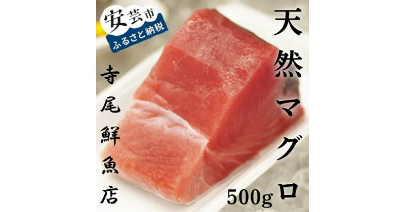 【ふるさと納税】天然まぐろ 赤身 500g 冷凍 キハダマグロ　高知県安芸市　寺尾鮮魚　老舗　まぐろ　赤身　天然マグロ　鮮度抜群　お刺身　海鮮丼　漬け丼