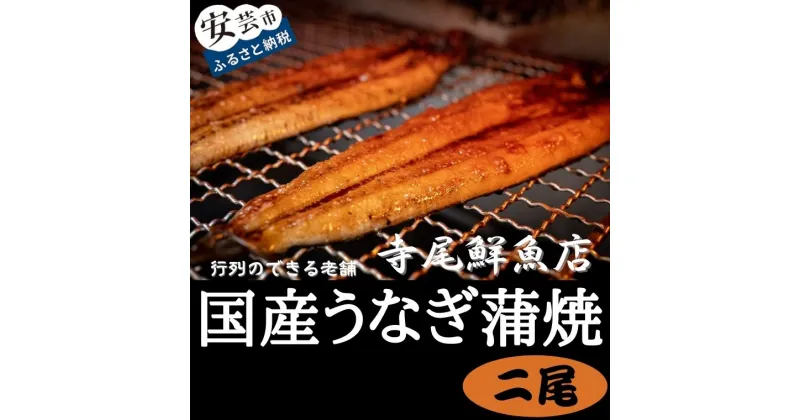 【ふるさと納税】うなぎ蒲焼 国産 2尾 冷凍 タレ付き　高知県安芸市　寺尾鮮魚　ウナギ　鰻　かば焼き　国産　創業60年以上　行列のできる老舗　特製たれ付き