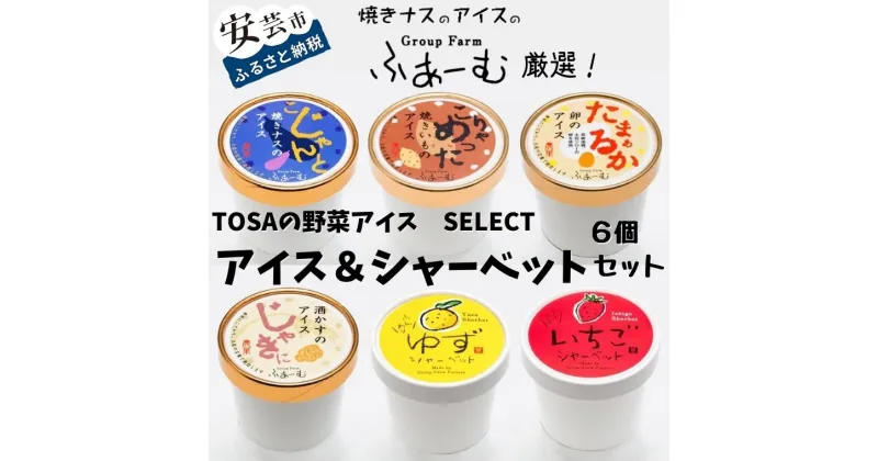 【ふるさと納税】TOSAの野菜アイス！SELECT アイス＆シャーベット 6個セット　ご当地アイスグランプリで最高金賞を受賞した「焼きナスのアイス」　高知県地鶏土佐ジローの卵を100％使用した「卵のアイス」など詰め合わせ　ギフト　送料無料