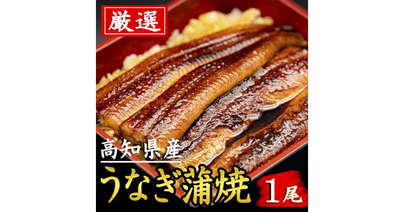 【ふるさと納税】厳選！！高知県産うなぎ（1尾）　特製たれで味わう　四万十川など清流が多い高知県産のウナギ　国産　地域で人気の有名店　送料無料