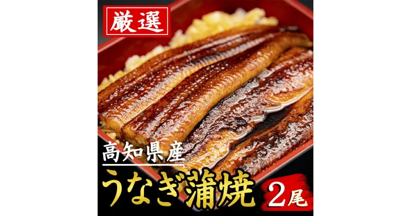 【ふるさと納税】厳選！！高知県産うなぎ（2尾）　特製たれで味わう　四万十川など清流が多い高知県産のウナギ　国産　地域で人気の有名店　送料無料