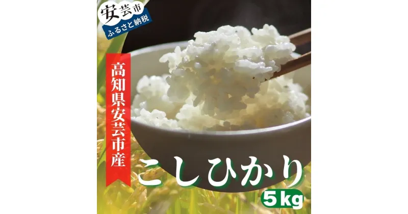 【ふるさと納税】《令和6年産》安芸の豊かな自然の恵みを頂いて育ったお米「こしひかり」5kg　高知県安芸市　農家直送　米　5kg　白米　コシヒカリ