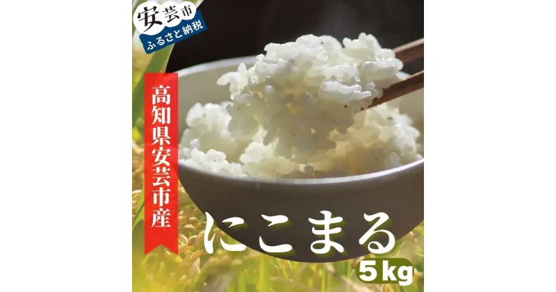 【ふるさと納税】《令和6年産》安芸の豊かな自然の恵みを頂いて育ったお米「にこまる」5kg　高知県安芸市　新米　農家直送　米　5kg　白米　ニコマル