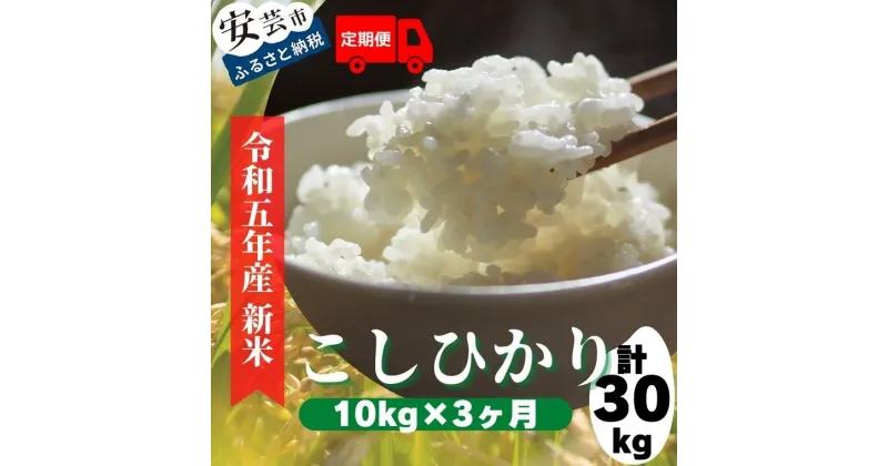 【ふるさと納税】《令和6年産新米》定期便 3ヶ月 計30kg 10kg×3回 安芸の豊かな自然の恵みを頂いて育ったお米「こしひかり」　高知県安芸市　新米　農家直送　米　白米　コシヒカリ　定期便