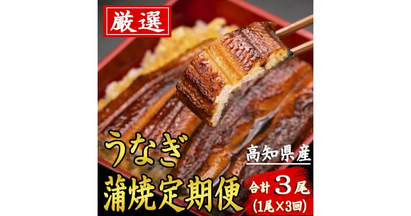 【ふるさと納税】厳選!!高知県産うなぎの蒲焼き(1尾) 3回定期便　特製たれで味わう　四万十川など清流が多い高知県産のウナギ　国産　地域で人気の有名店　安芸市　送料無料