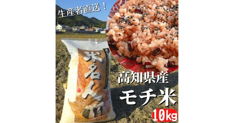 【ふるさと納税】《令和6年産》モチ米 10kg 高知県安芸市 高知県産 農家直送 もち米