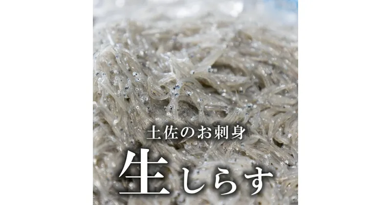 【ふるさと納税】土佐のお刺身「生しらす」6個セット ≪しらす出汁を使った特製のポン酢タレ付き≫