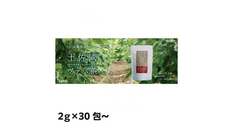 【ふるさと納税】国産有機栽培グァバ葉100％使用 土佐國グァバ茶 | お茶 飲料 健康茶 国産 漢方 送料無料 送料無料 人気 おすすめ 高知県 南国市