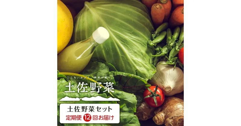 【ふるさと納税】【全12回お届け】土佐野菜セット | セット 新鮮 野菜 毎月 送料無料 人気 おすすめ 高知県 南国市