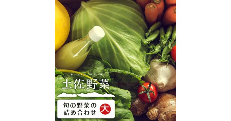 【ふるさと納税】【土佐野菜】旬の野菜の詰め合わせ 大 | セット 新鮮 野菜 送料無料 人気 おすすめ 高知県 南国市