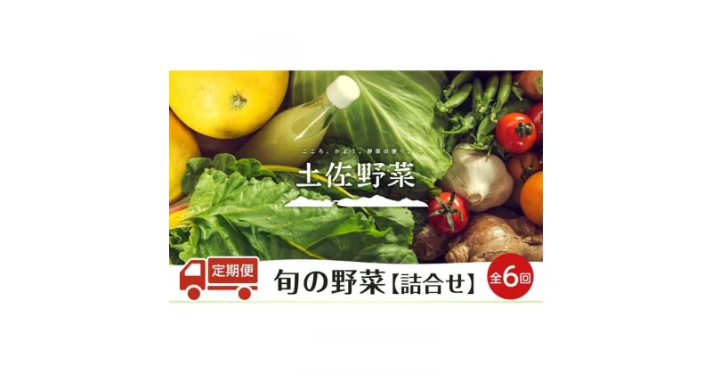 【ふるさと納税】『定期便 全6回』【土佐野菜】旬の野菜の詰め合わせ | セット 新鮮 野菜 毎月 送料無料 人気 おすすめ 高知県 南国市