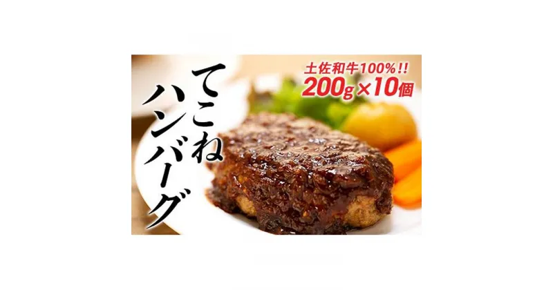 【ふるさと納税】土佐和牛100％てこねハンバーグ　デミソース付き（200g×10個） | ハンバーグ デミグラス ソース 肉 加工品 送料無料 人気 おすすめ 高知県 南国市