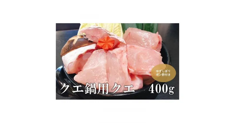 【ふるさと納税】【幻の天然クエ直送】クエ鍋用400g | 魚 魚介 高級 送料無料 人気 おすすめ 高知県 南国市