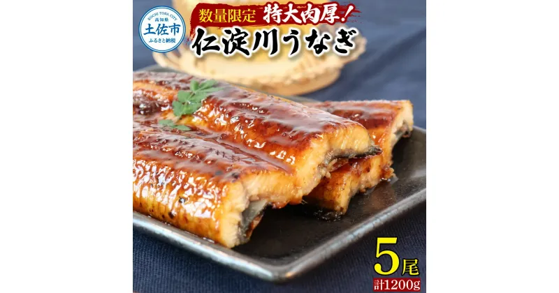 【ふるさと納税】仁淀川特大肉厚うなぎ5尾セット【数量限定】 鰻 うなぎ 仁淀川 四万十 肉厚 スタミナ 疲労回復 特大サイズ ウナギ お取り寄せグルメ 高知 鰻蒲焼き 故郷納税 ふるさとのうぜい 返礼品 高知県 52000円