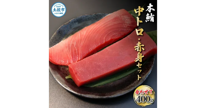 【ふるさと納税】本鮪 中トロ・赤身 各200g 合せて400g 赤身中トロセット 赤身 トロ マグロ まぐろ 刺身 ふるさと納税 まぐろさく 刺身 刺し身 マグロ 赤身 魚 海鮮 冷凍 冷凍配送 美味しい おいしい 食べ比べ セット 故郷納税 ふるさとのうぜい 返礼品 高知県 高知 20000円