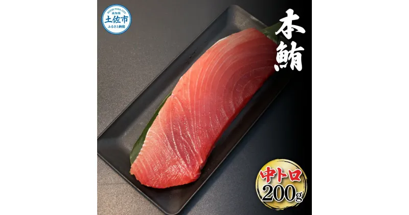 【ふるさと納税】本鮪 中トロ200g トロ マグロ 本まぐろ まぐろ 刺身 ふるさと納税 まぐろさく 刺身 刺し身 魚 海鮮 冷凍 冷凍配送 美味しい おいしい 故郷納税 ふるさとのうぜい 返礼品 高知県 高知 13000円