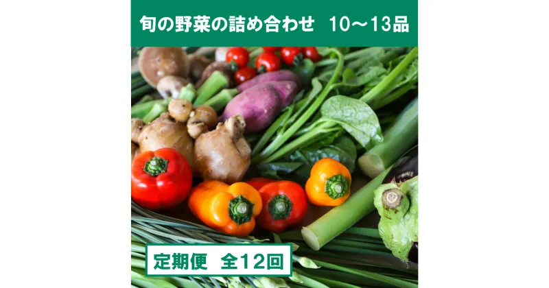 【ふるさと納税】『定期便』土佐野菜の詰め合わせ 全12回 旬の野菜 生姜 野菜 健康 詰め合わせ セット 採れたて おいしい 美味しい 自然 新鮮 旬 春 野菜 おまかせ お楽しみ 故郷納税 ふるさとのうぜい 返礼品 高知県 高知 120000円