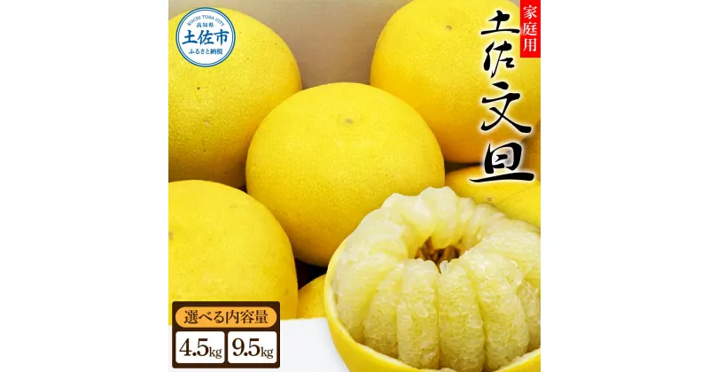 【ふるさと納税】先行予約 生産者直送 土佐文旦【サイズ混合2L～4L】選べる 4.5kg/9.5kg 【2025年2月上旬より発送】 家庭用 文旦 柑橘 みかん フルーツ ぶんたん ブンタン 果物 産地直送 お取り寄せ おいしい 美味しい 故郷納税 返礼品 高知県 高知 9000円 16000円