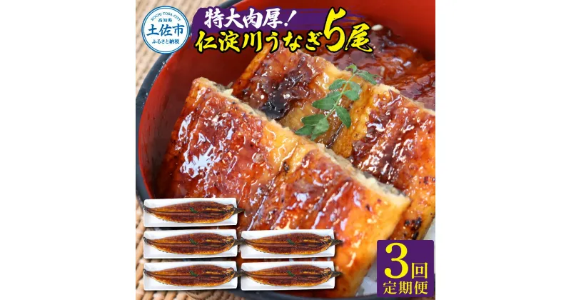 【ふるさと納税】＜3回定期便＞仁淀川特大肉厚うなぎ5尾セット 定期コース 3ヶ月 タレ付き うなぎ 鰻 ウナギ 蒲焼き かば焼き 特大サイズ 1尾200g超え 仁淀川 国産 太化うなぎ 養殖 おいしい 人気 冷凍 食品 真空パック 夏 ふるさとのうぜい 故郷納税 156000円 高知 高知県