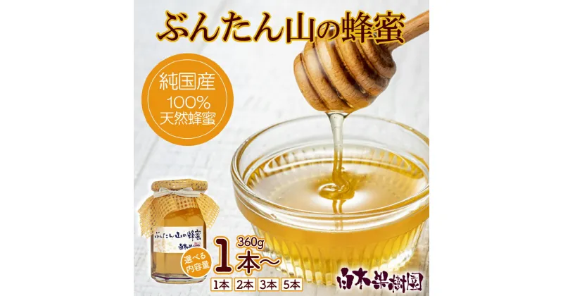 【ふるさと納税】爽やかな香り広がる100%天然蜂蜜　ぶんたん山の蜂蜜　360g 1～5本 はちみつ ハチミツ 高知県産 国産 天然はちみつ 土佐 高知 白木果樹園 ふるさとのうぜい 故郷納税 高知県 11000円から 返礼品