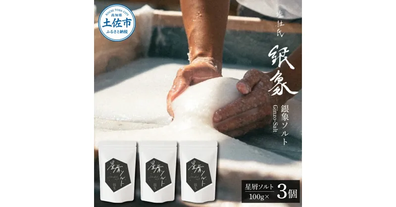 【ふるさと納税】銀象ソルト Ginzo-Salt 星屑ソルト 100g×3個セット 合計300g 塩 しお 調味料 天日塩 完全天日塩 国産 高知県産 ソルト ミネラル 健康 料理 調理 お塩 塩 美味しい 天然 高知 ふるさとのうぜい 故郷納税 20000円 返礼品