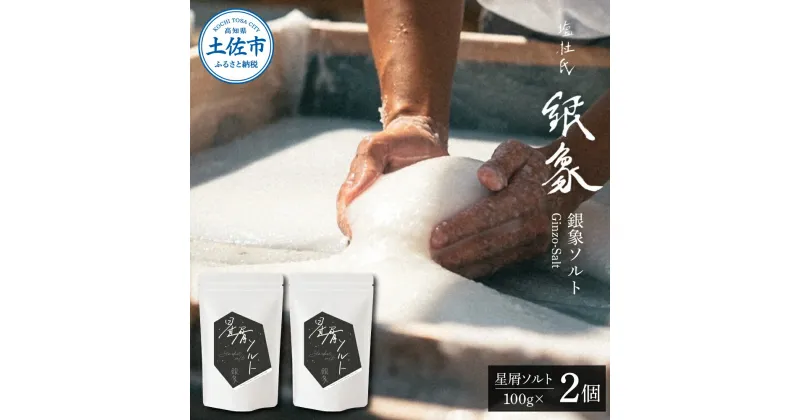 【ふるさと納税】銀象ソルト Ginzo-Salt 星屑ソルト 100g×2個セット 合計200g 塩 しお 調味料 天日塩 完全天日塩 国産 高知県産 ソルト ミネラル 健康 料理 調理 お塩 塩 美味しい スタンダード高知 ふるさとのうぜい 故郷納税 14000円 返礼品