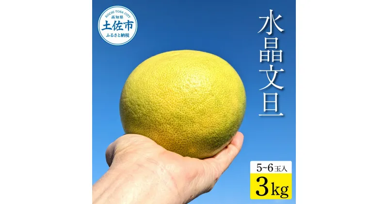 【ふるさと納税】土佐市産 水晶文旦 約3kg (5～6玉）文旦 ぶんたん ブンタン すいしょうぶんたん ハウス栽培 甘い 高級 果物 柑橘 フルーツ 果物 ご当地 お取り寄せ 3キロ 贈答 ギフト 土佐 高知 ふるさとのうぜい 故郷納税 高知県 24000円 土佐市