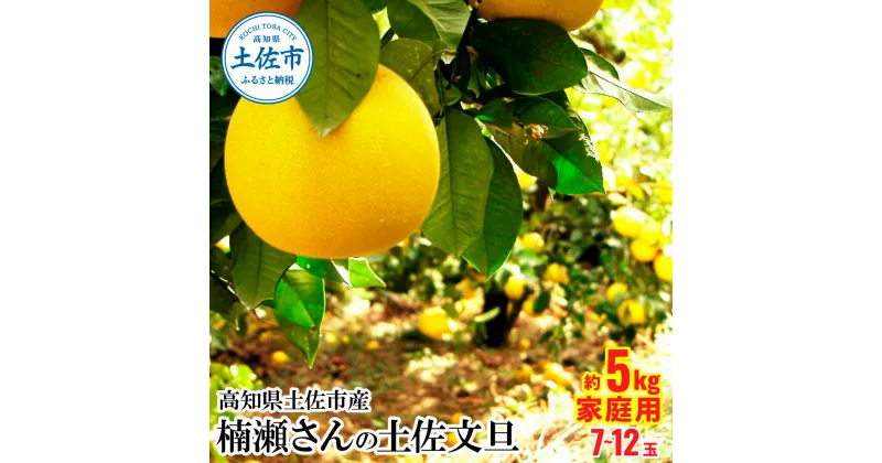 【ふるさと納税】高知県土佐市産 楠瀬さんの土佐文旦 家庭用 約5kg 期間限定 高知 土佐 文旦 ぶんたん ブンタン 柑橘 みかん 果物 5キロ L～4Lサイズ 7～12玉 フルーツ 旬 不揃い ご自宅用 お取り寄せ 常温 高知県 土佐市 ふるさとのうぜい 故郷納税 返礼品