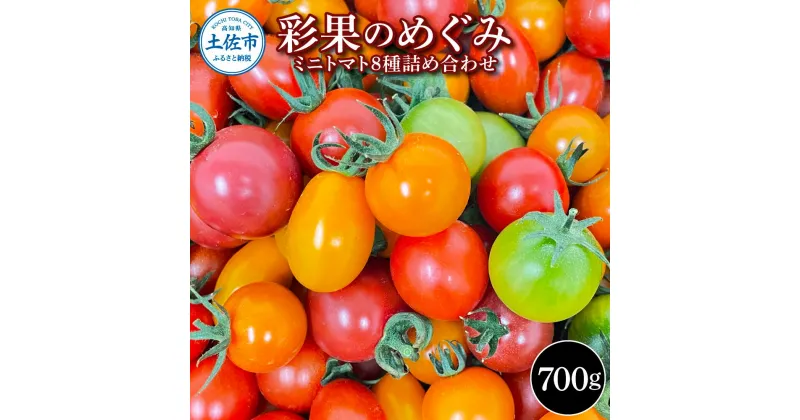 【ふるさと納税】 ＜先行予約＞彩果のめぐみ 700g ミニトマト とまと 詰め合わせ 新鮮野菜 トマト 美味しい 野菜 厳選 新鮮 夏野菜 サラダ tomato ギフト 贈答用 贈り物 プレゼント 数量限定 期間限定 フラガール ラブリーさくら 高知県 土佐市 ふるさとのうぜい 故郷納税