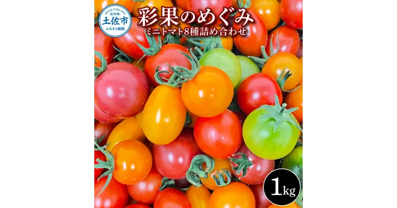 【ふるさと納税】＜先行予約＞ 彩果のめぐみ 1kg ミニトマト とまと 詰め合わせ 新鮮野菜 トマト 美味しい 野菜 厳選 新鮮 夏野菜 サラダ tomato ギフト 贈答用 贈り物 プレゼント 数量限定 期間限定 フラガール ラブリーさくら 高知県 土佐市 ふるさとのうぜい 故郷納税