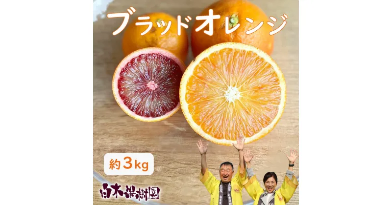 【ふるさと納税】【果樹園直送】ブラッドオレンジ　約3kg　果物　柑橘　フルーツ　オレンジ　高知県土佐市　お取り寄せ 産地直送　おいしい 美味しい　白木果樹園