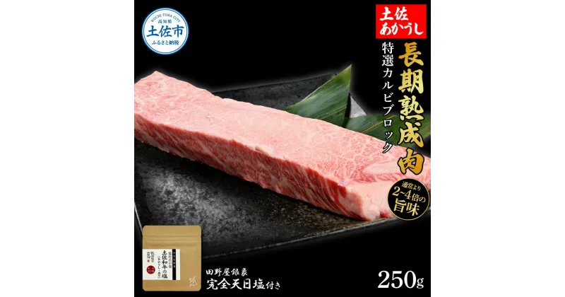 【ふるさと納税】特選 カルビブロック 土佐あかうし 長期熟成肉 250g 田野屋銀象 完全天日塩付き カルビ 牛肉 ブロック 肉 お肉 和牛 国産 牛 熟成肉 ブロック肉 豪華 贅沢 真空パック 冷凍配送 新鮮 美味しい 故郷納税 高知県 土佐市