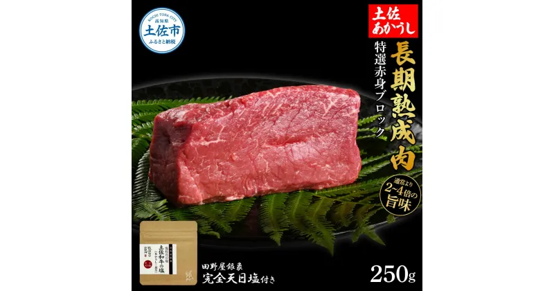 【ふるさと納税】特選 赤身ブロック 土佐あかうし 長期熟成肉 250g 田野屋銀象 完全天日塩付き 赤身 牛肉 ブロック 肉 お肉 和牛 国産 牛 熟成肉 ブロック肉 豪華 贅沢 真空パック 冷凍配送 新鮮 美味しい 故郷納税 高知県 土佐市