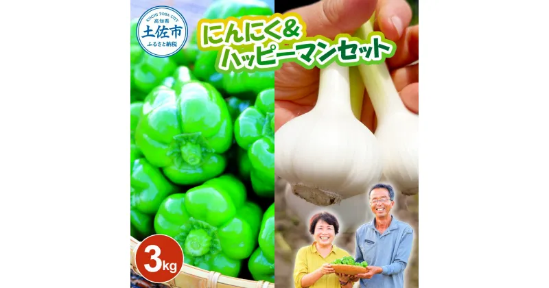 【ふるさと納税】にんにく＆ハッピーマンセット 約3キロ 約3kg ニンニク 自然乾燥にんにく ピーマン 野菜 やさい おかず 副菜 お弁当 新鮮 おいしい 採れたて 国産 訳あり わけあり お取り寄せ 常温 冷蔵 高知県 高知 土佐市 ふるさとのうぜい 故郷納税 返礼品