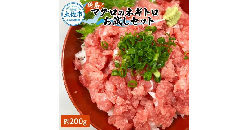 【ふるさと納税】絶品！マグロのネギトロお試しセット 約200g 約1~2人前 薬味・しょうゆ付き まぐろ 鮪 ねぎとろ 魚介 海鮮 海鮮丼 お寿司 おかず おつまみ 惣菜 ご自宅用 おいしい お取り寄せ 冷蔵 配送 高知県 高知 土佐市 ふるさとのうぜい 故郷納税 返礼品